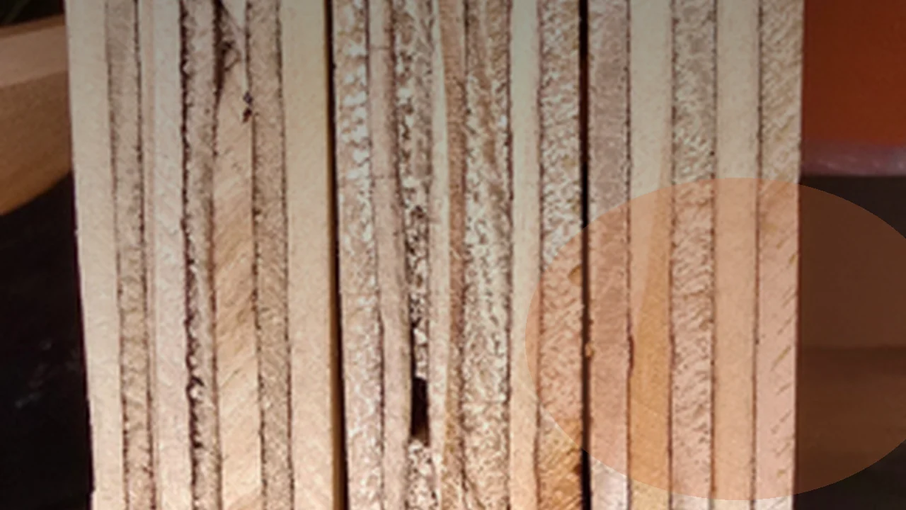 Marine plywood close-up showing durable layers